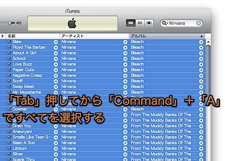 Mac iTunesの検索欄で使えるテクニック 2