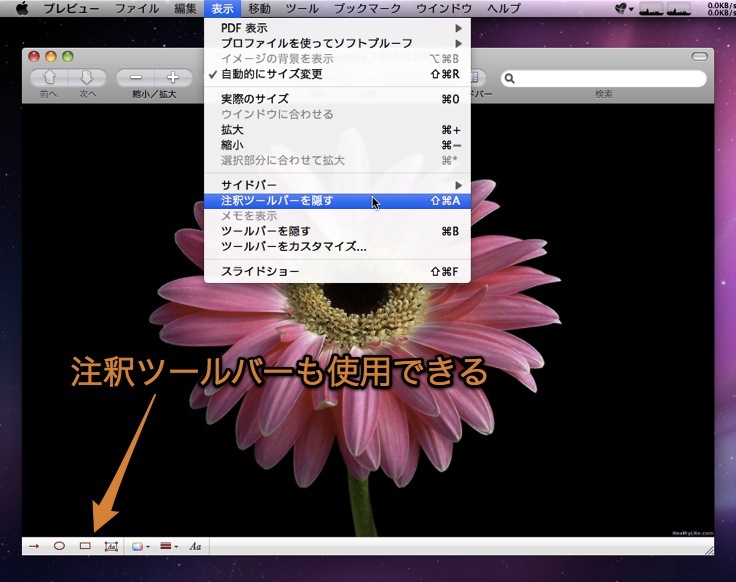 Macのプレビュー Appで写真に注釈を書き込む隠れ技 Inforati