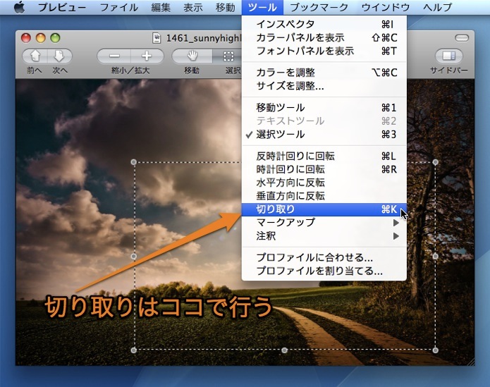 Macのプレビュー Appで写真をトリミング 反転 回転する方法 Inforati