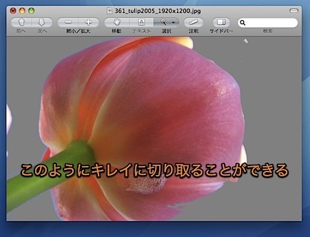 Macのプレビュー.appで写真から似た色の部分のみ選択する方法 Inforati 7