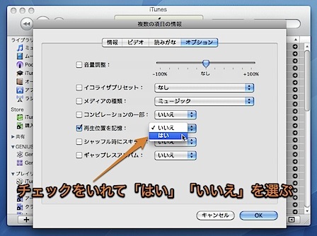 Mac iTunesで複数の曲ファイルの「情報」を一度に編集する方法 Inforati 4