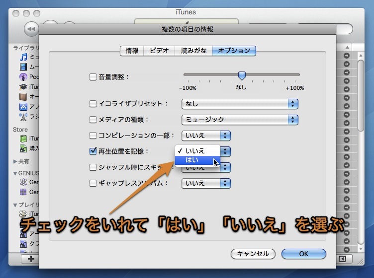 Mac Itunesで複数の曲ファイルの 情報 を一度に編集する方法 Inforati