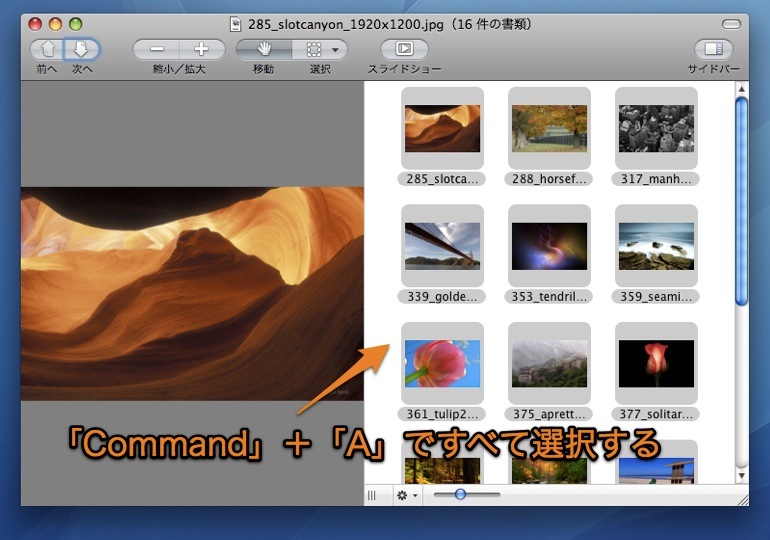 Macのプレビュー Appで複数の写真のカタログを作成しpdfにする方法 Inforati