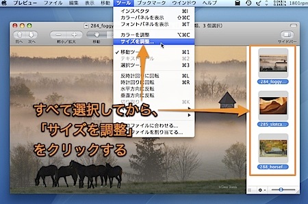 Macのプレビュー.appで複数の写真を拡大・縮小する方法 Inforati 1
