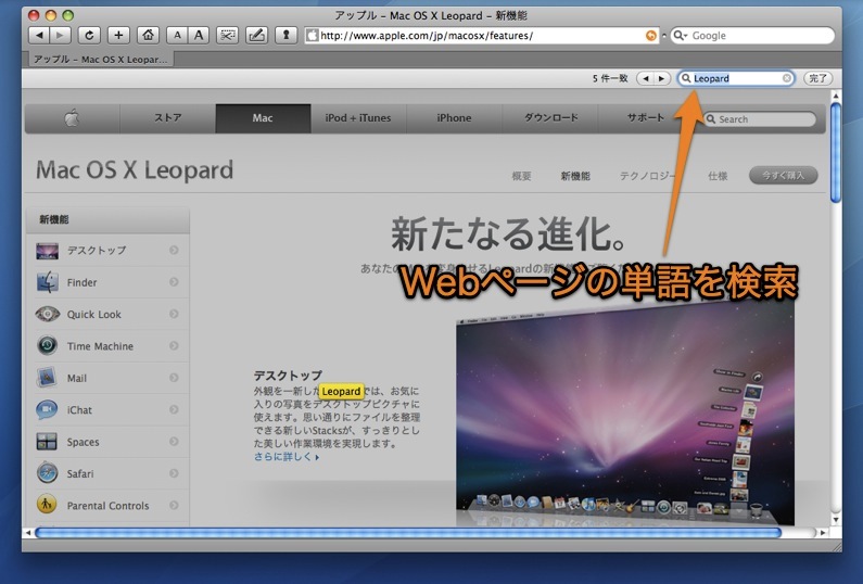 how to do a word search on mac for web site